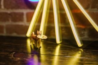 pig币最新消息 pig币最新消息官方